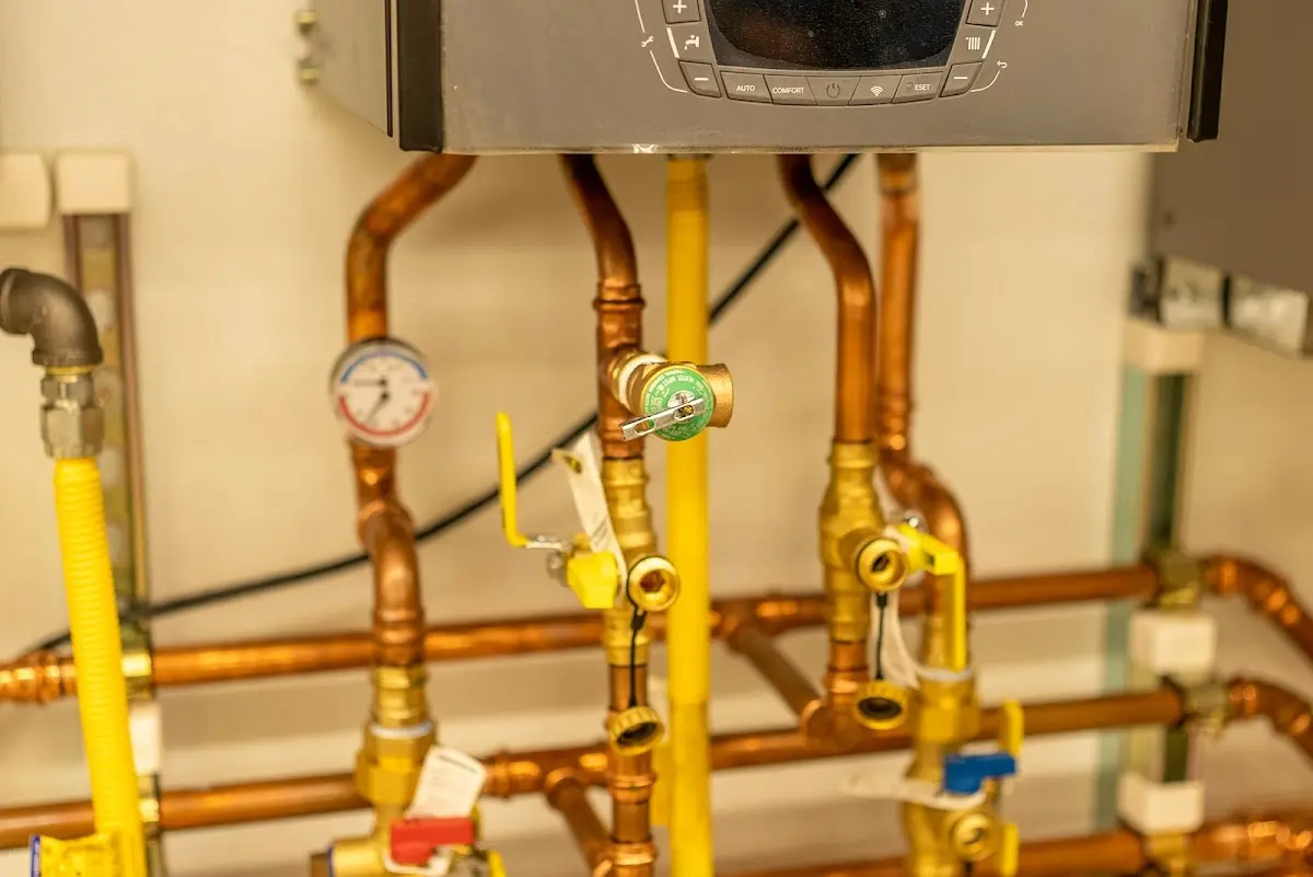 Licensed technician providing Emergency Plumbing for a homeowner in Holland